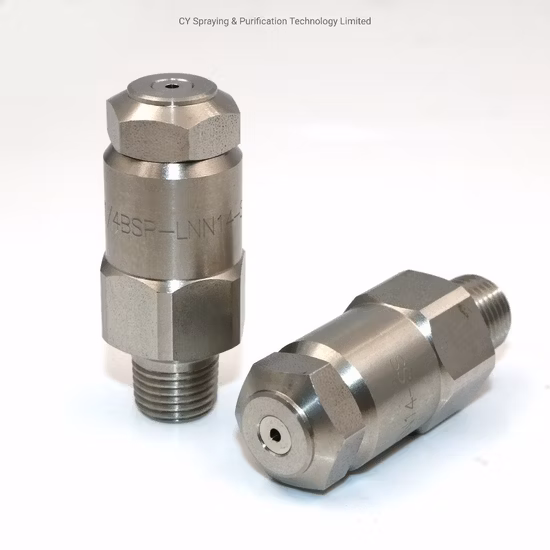Buse d'atomisation hydraulique en acier inoxydable 1/4 Lnn, buse de brumisation Fine, dépoussiérage d'atelier, 316 pouces